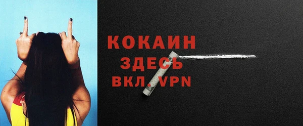 шишки Абдулино