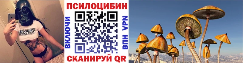 Псилоцибиновые грибы MAGIC MUSHROOMS  Бийск 