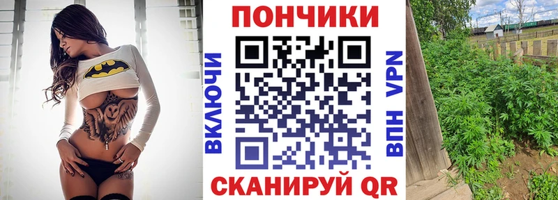 Конопля марихуана  дарнет шоп  Бийск 